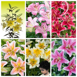 2�� �G�@���_�ٺϷN����ˮ�ٺϷN��|���ذ�OTLO�F�ڻ����