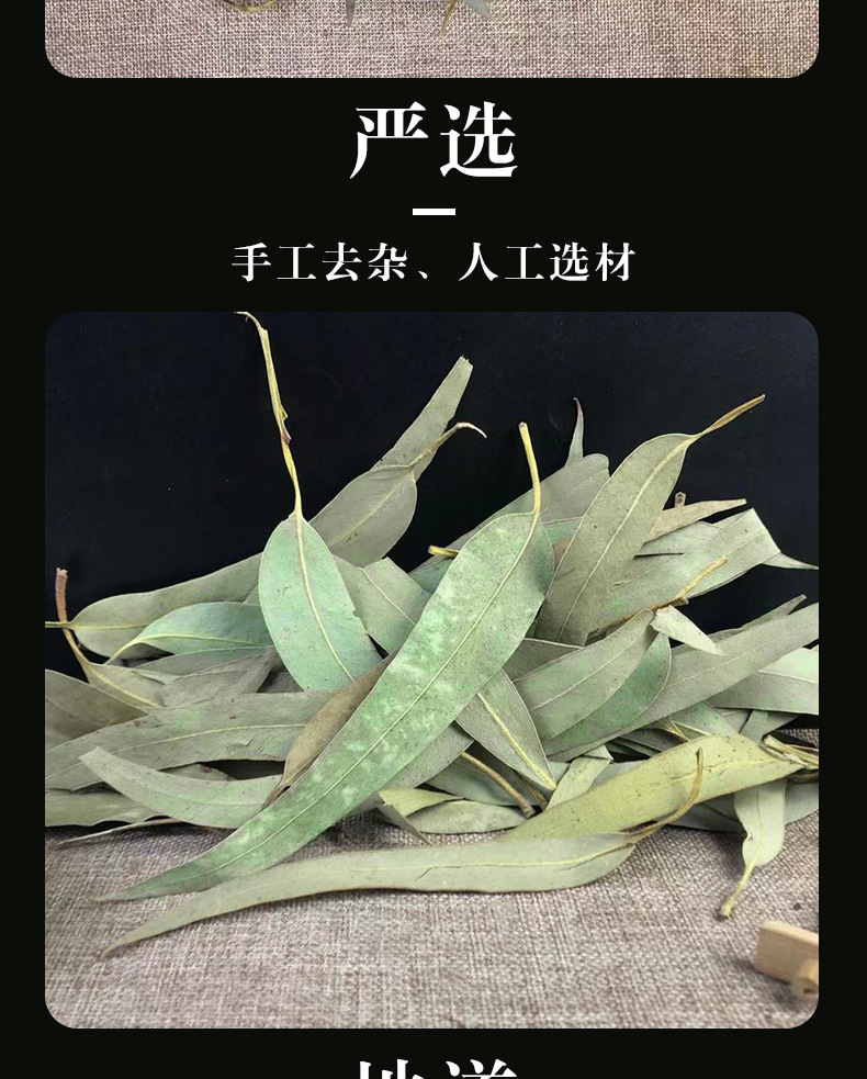 Dried Eucalyptus Leaf Granules An Ye 500g Bulk Herbal Tea Ingredient quality and texture