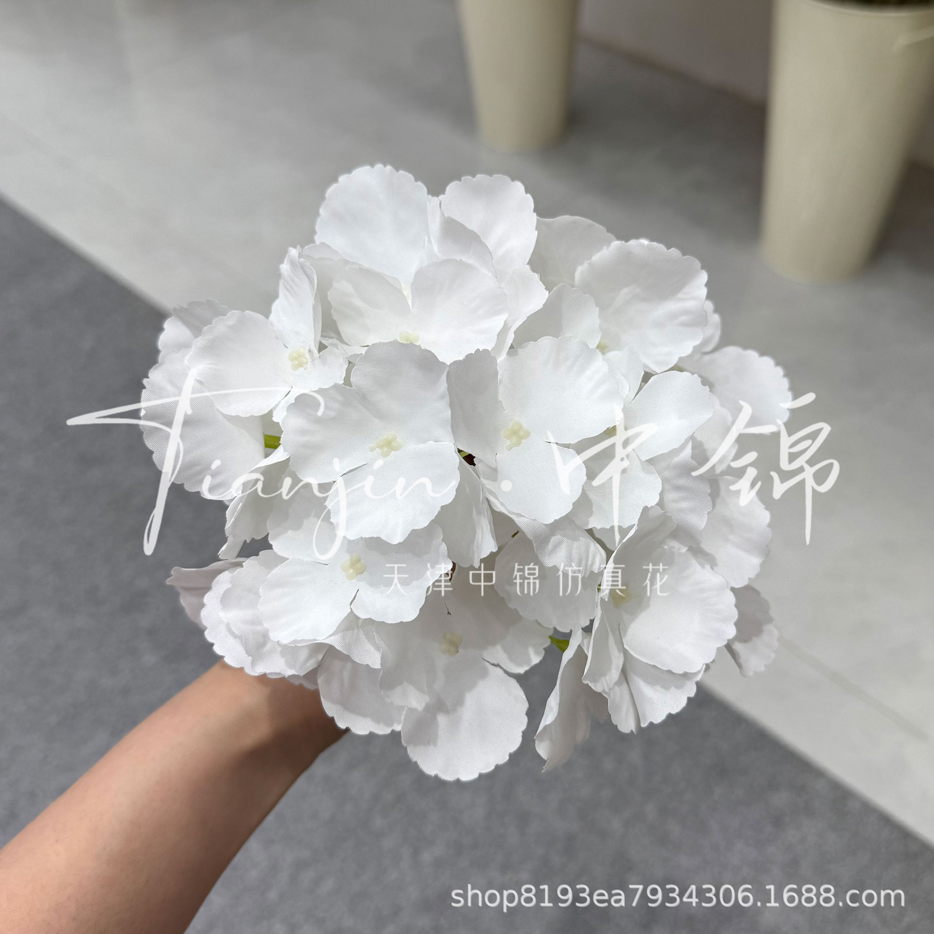 순백색 꽃 머리