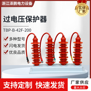 Metal Oxide Tbp-B-42F-310 Surge Arrester 35Kv Three Combined Overvoltage Protector Customization
