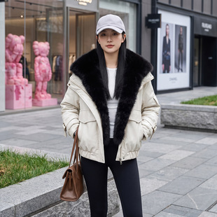 �羳�¿��ë�I���b�޷�Ů2026���W���OӋ�ЊA�˼Ӻ�ů��������