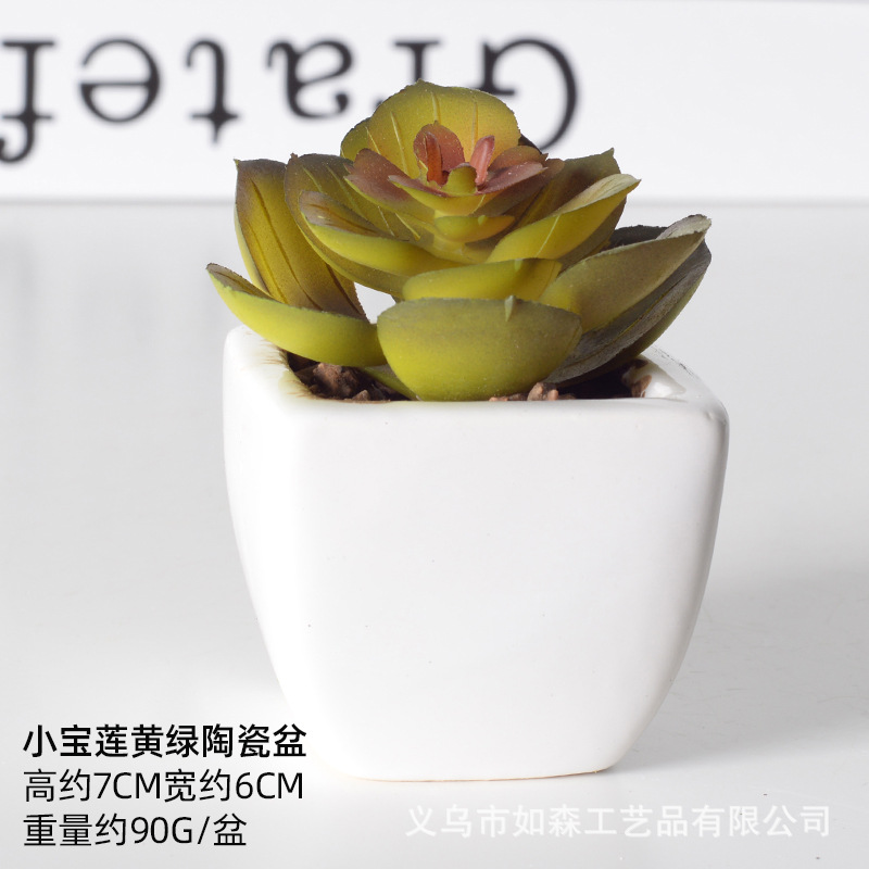 Simulación de cerámica bonsai de carne doméstica decoración de escritorio de oficina plantación verde maceta props de disparo maceta combinada artificial image 47