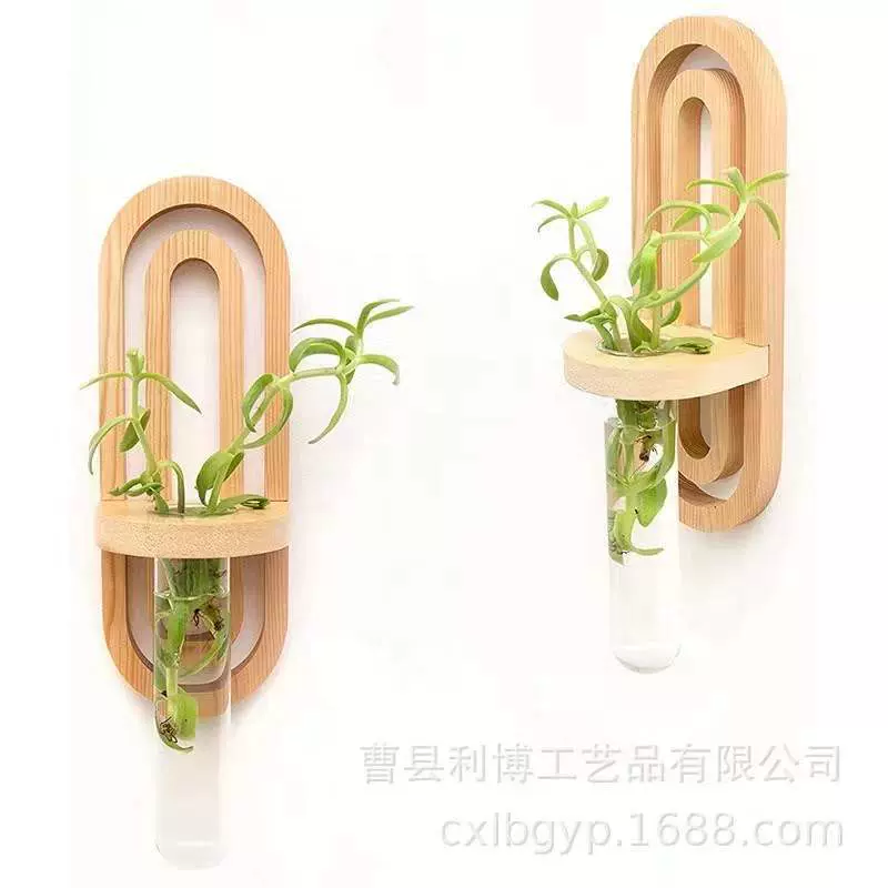 创意壁挂式实木试管花瓶架办公装饰水培植物花架实木墙壁置物架