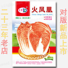 �s750�����P�˷N�� �ټt���s����ײ����S�ۼt���Sɫ�߲˷N�����l