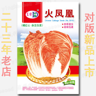 �s750�����P�˷N�� �ټt���s����ײ����S�ۼt���Sɫ�߲˷N�����l