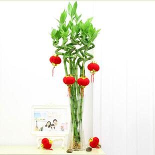 �Gֲ���Ը��F���D�\���k���҃�ˮ�໨�ܾG�}�辰�t�����\���^����