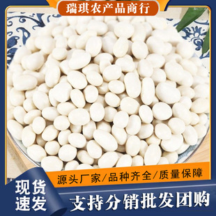 ���С�׶���װ�ܿ���Ҝ����Ӹ����鶹ɢ�b���|�r���F��500g