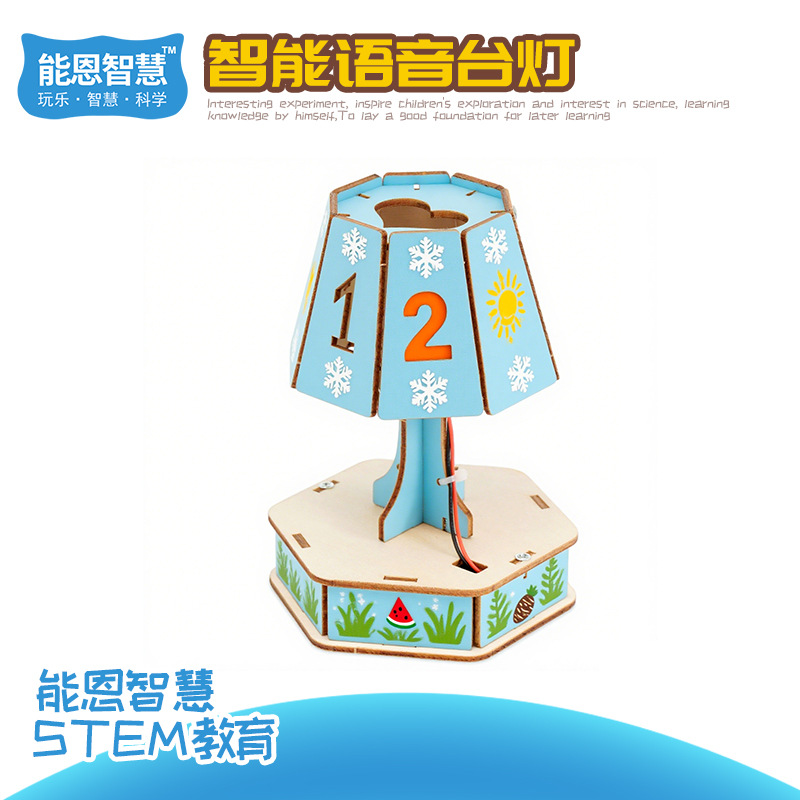 小学生木制拼装智能语音台灯科技小制作儿童趣味科教模型STEM教育