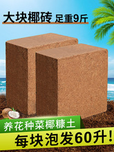 �I�B����̿��Ҭ�u�N��Ó�}Ҭ����KҮ�u�����������B�������Nֲ