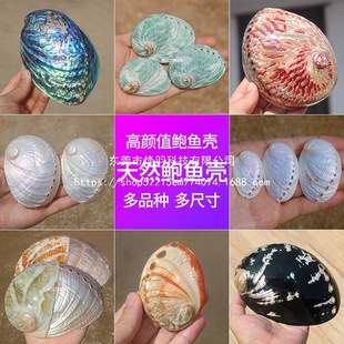 ��Ȼ����U�~�����N�ղ؟���β������������ռ{�Ҿ��b���ؔ�[��