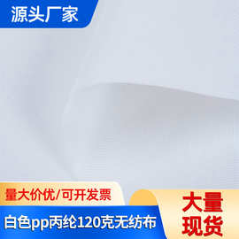白色pp丙纶120克无纺布 现货供应 包装手袋购物袋无纺布