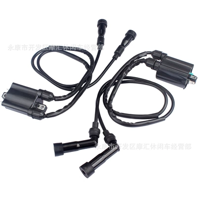 Suitable for Honda Cb650 Goldwing Nighthawk 650 750 900 High Voltage Package Ignition Coil