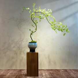 仿真绿植流泉枫高级古风新中式家居茶室装饰禅意玄关小型盆栽摆件