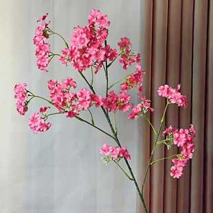 ��������滨�ҾӾƵ��b�����С�黨��Y���ÿ羳�ٻ��[�����l