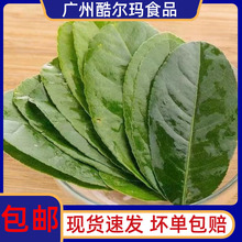 �����~���r ̩���͏d��ꎹ����~�����̲������ ���~����֦�����~