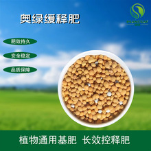 WG1̖¼318A2G}m315MھLЧ