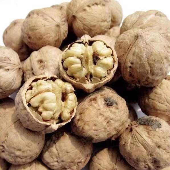 陕西秦岭核桃农家老树山核桃去皮干核桃散装核桃源头工厂一件批发