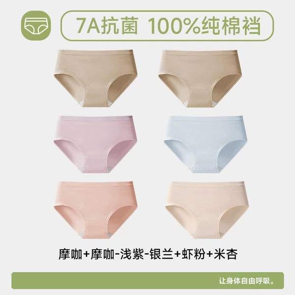 6 pieces #cln# Moka + Moka + light purple + silver orchid + shrimp powder + rice apricot