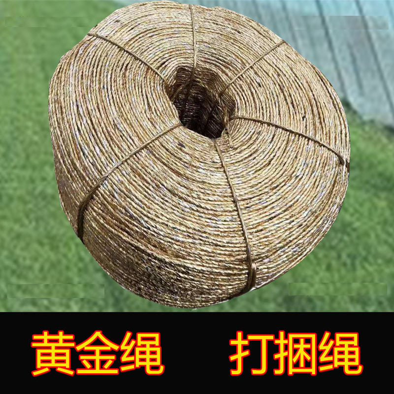 黄金绳废纸压缩打包绳大棚压膜绳重货打捆绳塑料绳盘绳 黄金绳