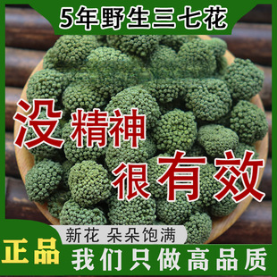 ��Ұ�����������ɽ���껨�����߻��پW��Ş���껨��5