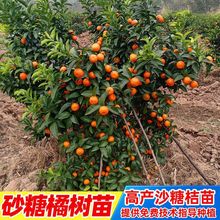 ɰ���٘���V�|�ؑc�ĕ��޽�ɳ�ǽ�����o�џo��ԭ�a�ع�������]