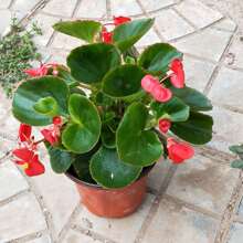 ļĻ҃ͥԺļ_ﺣĲذ