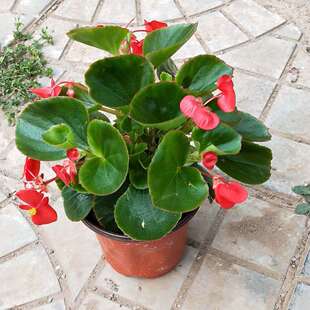 �ļ����������Ļ������҃�ͥԺ�ļ��_���ﺣ�Ĳ�������ذ�