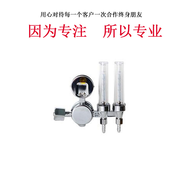 节能型氩气流量计式减压器 YQAr195-731L氩气流量计式减压器
