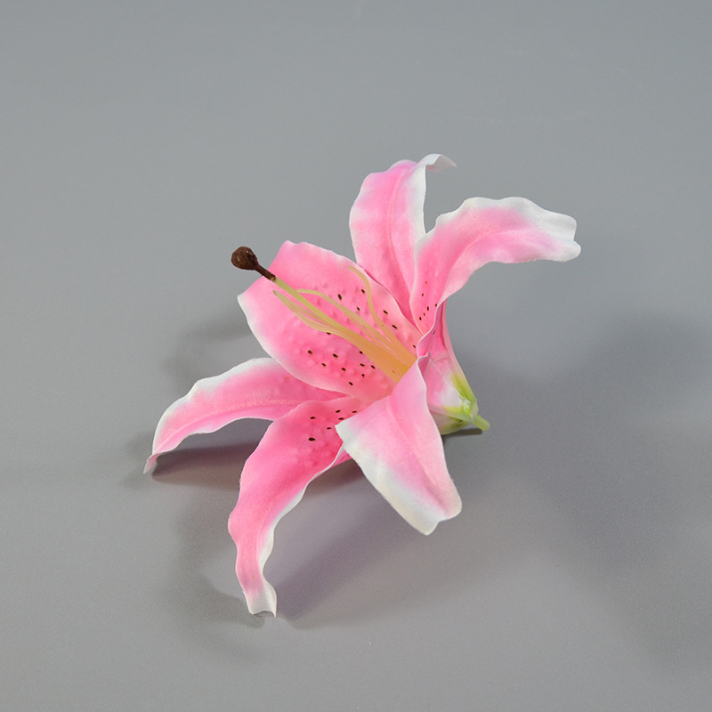 Simulation Tiger Orchid 3D Print Dali Conference Table Hotel Flower…
