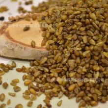 �ڿ��w���^���w����F؛�����ڽM�ϲ�Ƶ��ò軨�軨�ݲ�