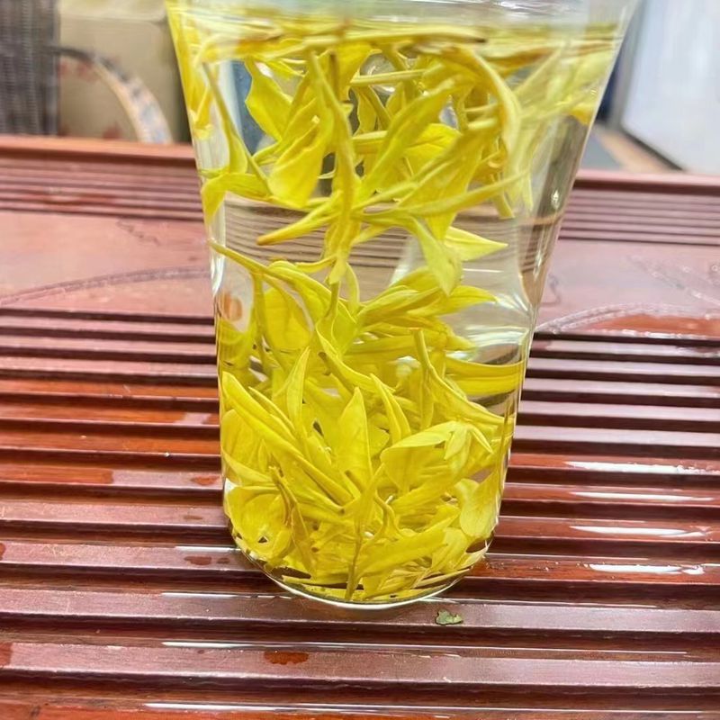 微信图片_20220724162330_副本