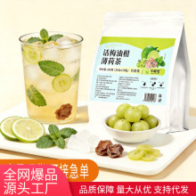 话梅油柑薄荷茶爆品甄选夏天解腻清凉茶独立包装批发代发水果茶