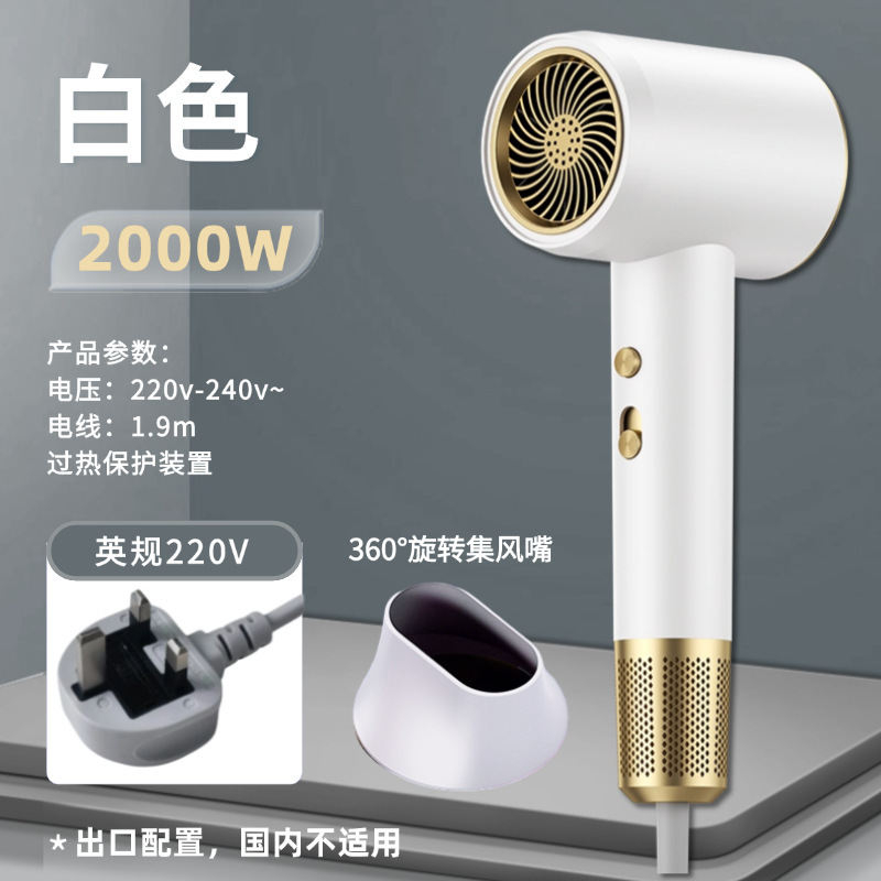 国境を越えたヘアドライヤー家庭用寮冷熱風マイナスイオンネット赤大出力ギャラリー電気ブローメーカー卸売り|undefined