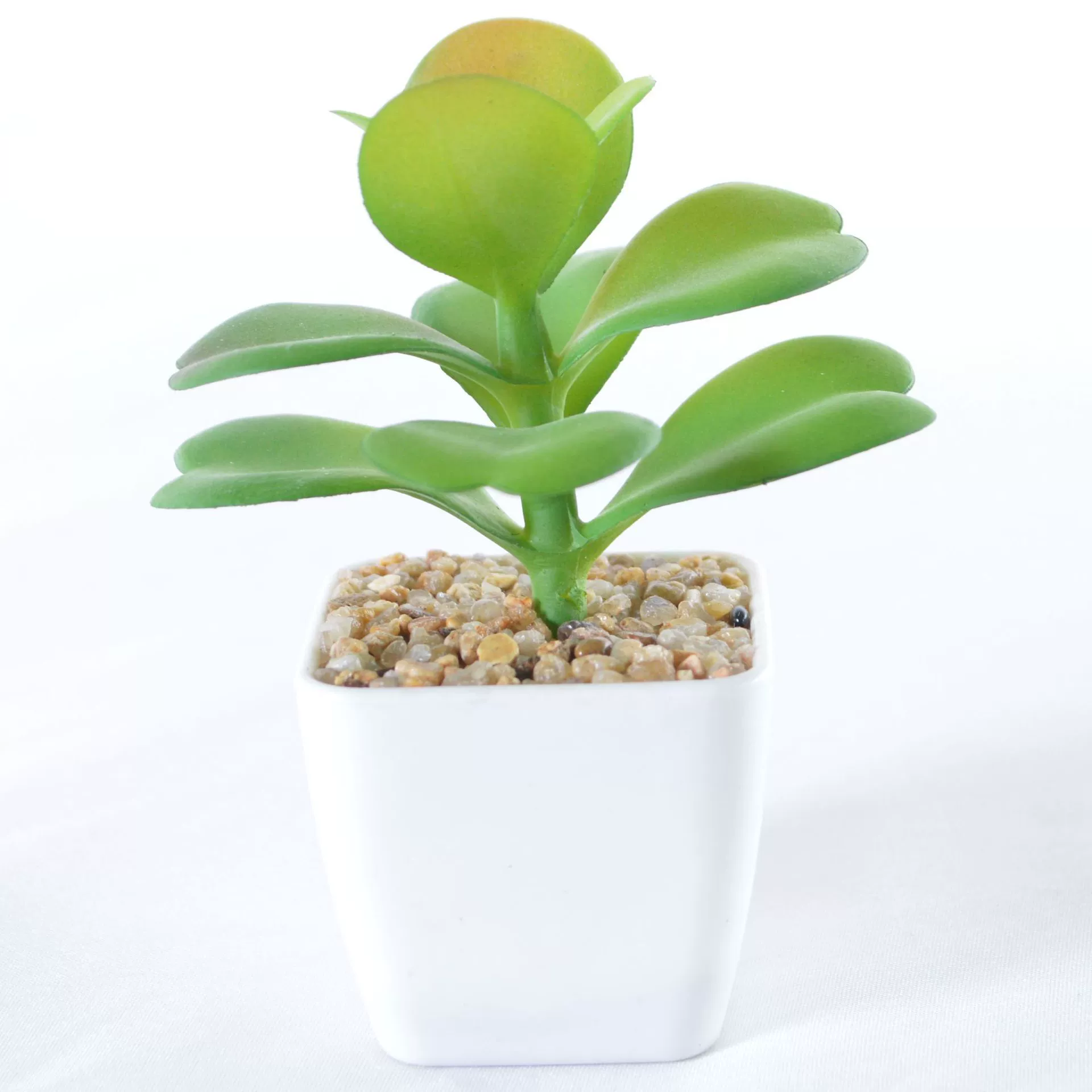 Simulation plastic small white pot simulation of succulent plants potted bonsai square pot