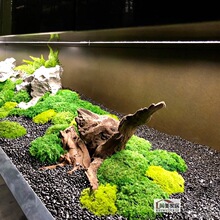 �����װl̦�\�҃ȿ�ɽʯ�^��̦�ɾ�������Ȼ���^���������b�΢��