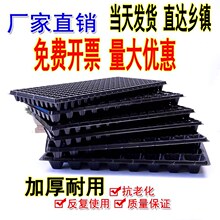 ���l����PѨ�P������������߲�������������������ľ����������