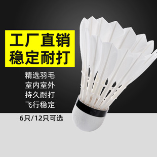 ��ë��12ֻ�b�����Zë�҃����ِӖ������6ֻ�b3���b