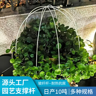 �����w�S�U�@ˇ�Ϲ�����������o����֧��ֲ�ﻨ�̶ܹ����o֧�ΗU