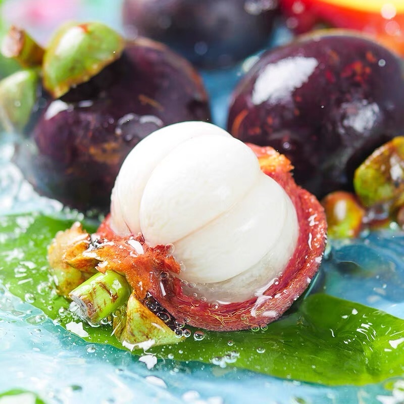 ea9081d2-13f3-4a64-90fe-4746e18c5956.jpe