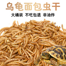 ���Z�����������ͨ�������Zʳ���A�����������o�}�r���~������x