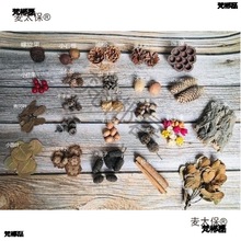 �����ֹ�diyɭ�ֲ��ϰ��¿� �ɹ��bɻ����M�����b���յ���̫��