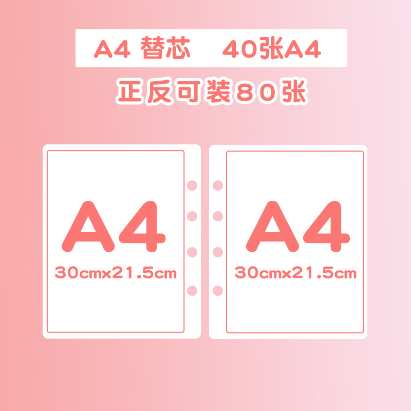 替芯（A4/40张）
