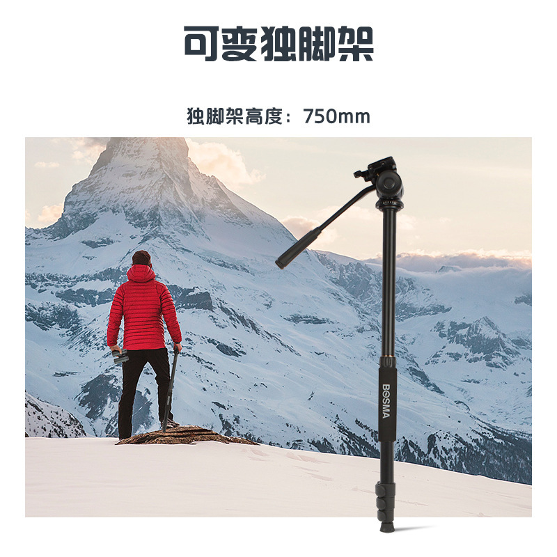 BOSMA BOGUAN TP36 망원경 사진 삼각대 양안/단안/조류 관찰 거울 적용 가능