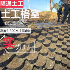 蜂の巣のジオグリッドのメーカーhdpe河道の坂の緑化の固定土の壁のポリエチレンの穴をあけるジオグリッドの部屋