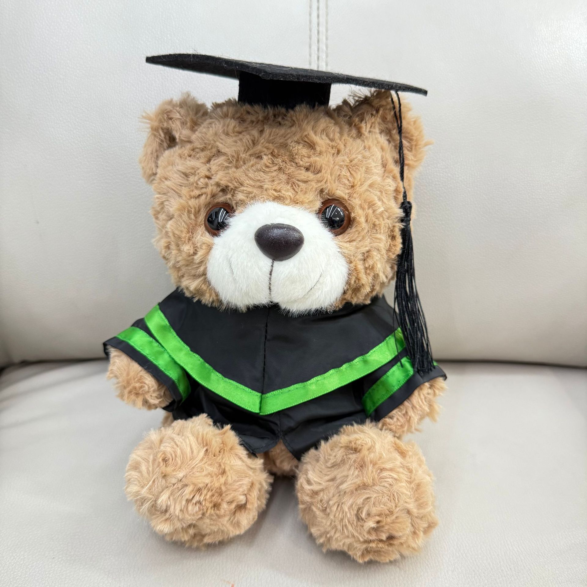 Graduación Teddy Bear Puppy Doctor Teddy Bear School Print logotipo regalo de graduación