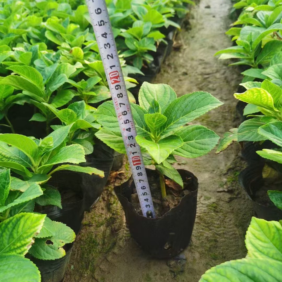 2025-03-06 18:06:01.jpg