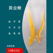 ��ˮ�S�����q���ɫ�坍�~�����~�������B�ͻ��¾����^�pС���~