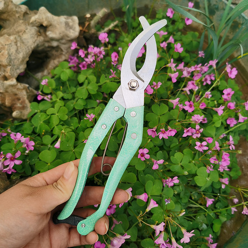 Hardware garden tools fruit tree peeler pruning shears ring cutting scissors green peeling knife ring cutting knife ring cutting shears
