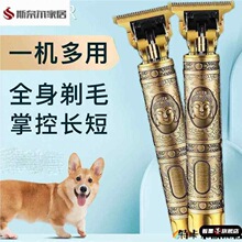 ��ë��������Ƽ�؈��̩��ë�C�����ߌ��I��ë����Ƽ���ƷĬ�J�