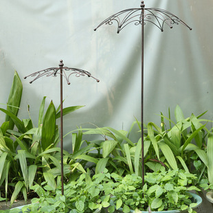 ��ʽ���f�Fˇֲ�����ټ��̨�����¼�֧����㻨��ͥԺ��������